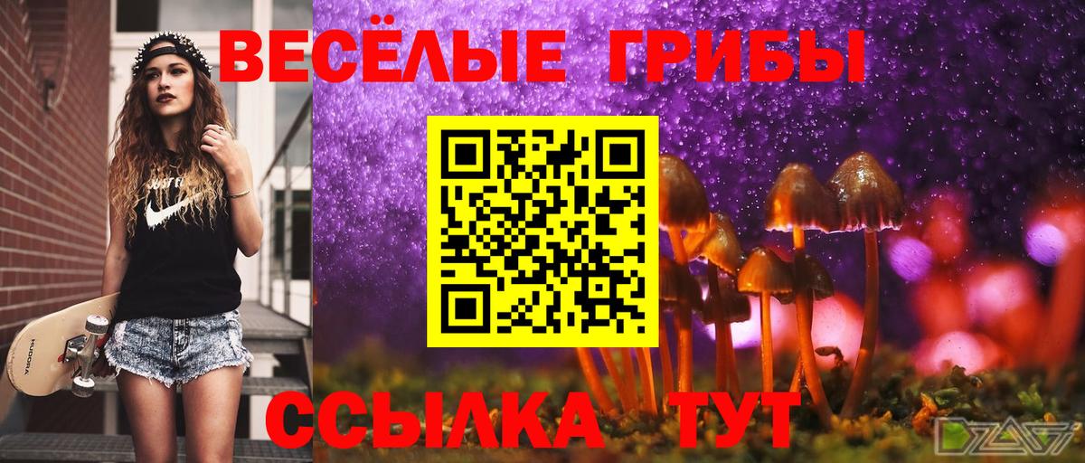 сколько стоит  Галлюциногенные грибы Cubensis  Вход с VPN  Электрогорск 